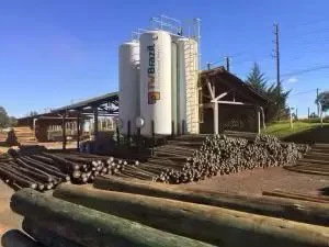 Cerca Eucalipto Roliço Tratado TWBrazil